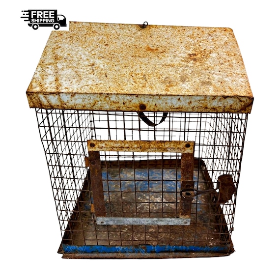 Iron Bird Cage (Pinjara) Hand-Forged– Vintage Metalwork Collectible Rare Indian Craftsmanship for Bird Lovers & Heritage Displays