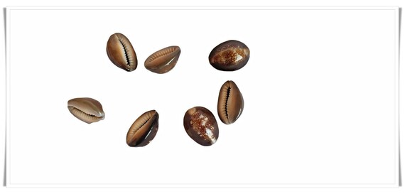7 Pcs Nazar Battu Kauri Shells, Najar Raksha Kawach, Evil Eye Protector, Handmade, Traditional Indian Charm, Home Decor