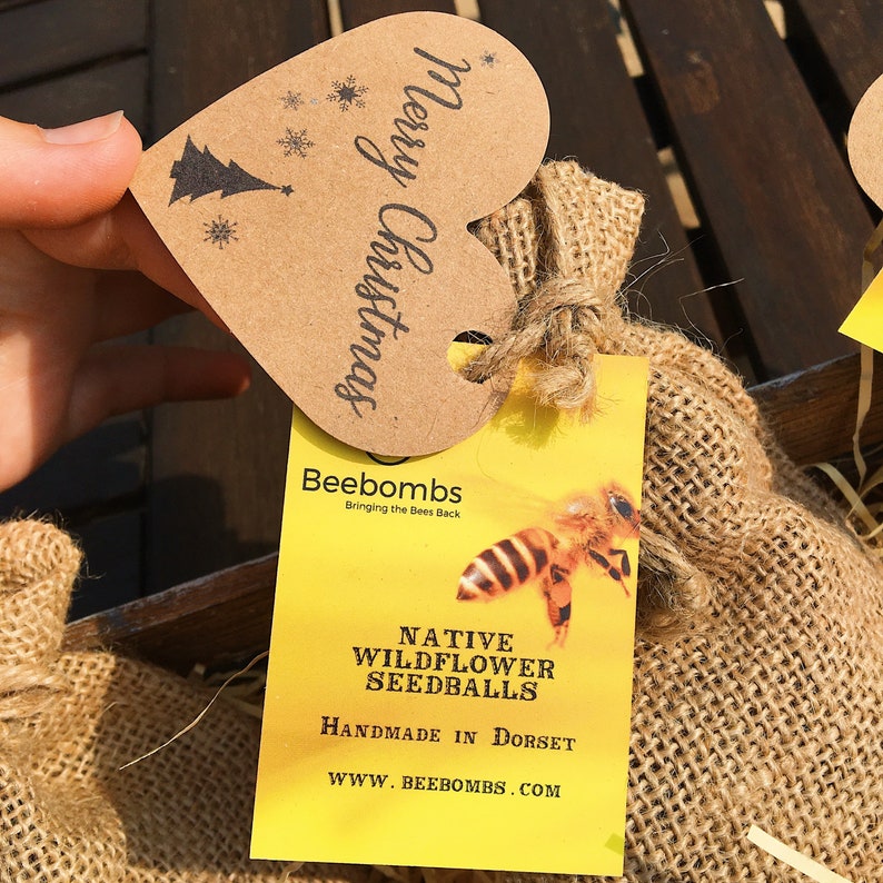 Christmas Bee Bombs Wildflowers native to Britain for bees Etsy