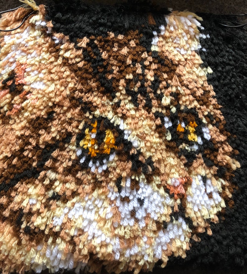Completed Brown Cat Latch Hook Rug