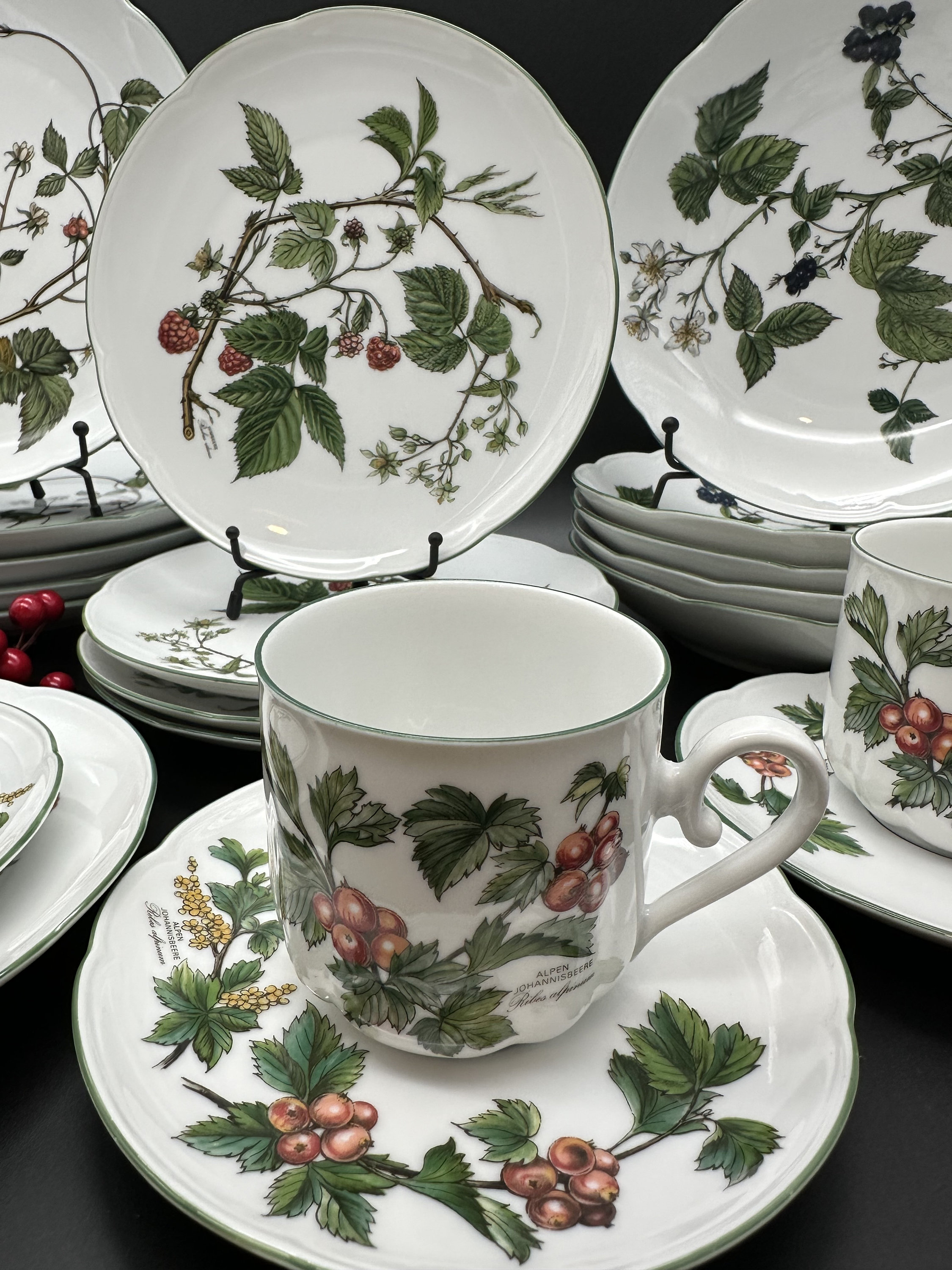 Vintage Seltmann Weiden Gloria Waldbeere Porcelain Dinner Coffee
