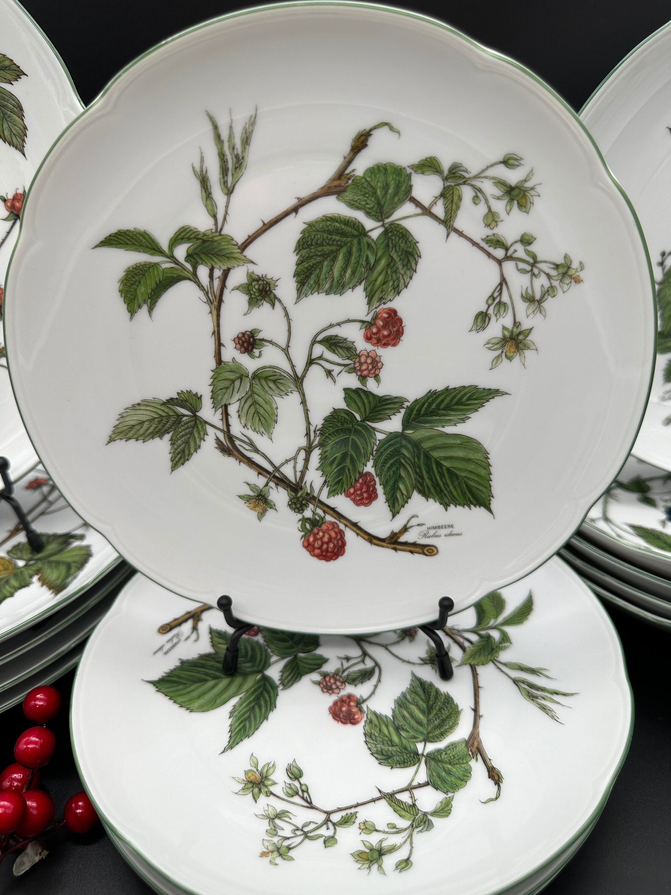 Vintage Seltmann Weiden Gloria Waldbeere Porcelain Dinner Coffee