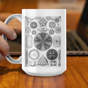 May include: White ceramic mug with a black and white illustration of various types of diatoms, a type of algae.