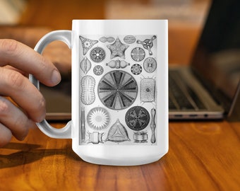 Artforms In Nature - Diatomea (Kieselalgen) - Ernst Haeckel, 15oz Kaffee-/Teetasse, Kunstformen der Natur, Science Art, tolles Geschenk, 004