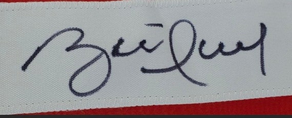 Brett Hull 17 AUTOGRAPHED Detroit Red Wings Custom Jersey 