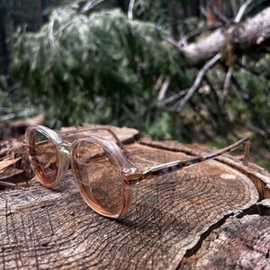 May include: Clear-framed eyeglasses with orange-tinted lenses rest on a weathered tree stump. The frames have a translucent appearance, and the temples feature a patterned design. The background shows a blurred forest scene.