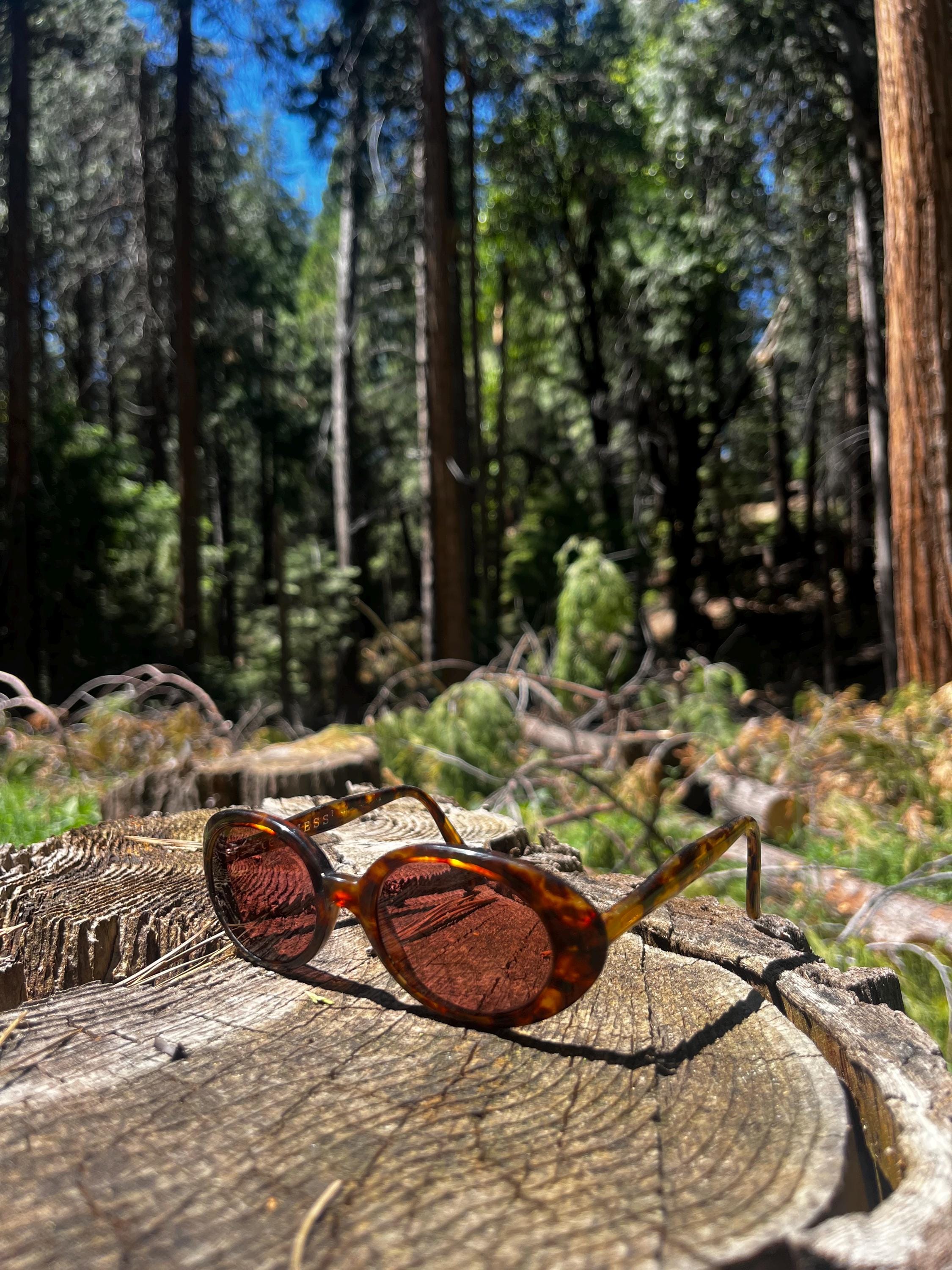 GUESS eyewear sunglasses DAZZLE BRN-1 53 [] 16-135 Y2K Guess Sunglasses GU00097-S 01B main image 2