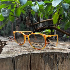 May include: Round-framed sunglasses with a tortoiseshell pattern in shades of yellow and orange. The sunglasses are resting on a weathered wooden surface, with a blurred background of green foliage.