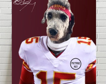 chiefs dog jersey