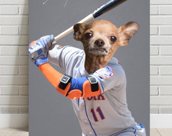 dog mets jersey