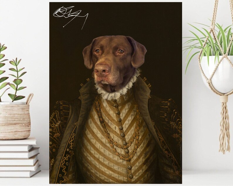 May include: A brown and white dog wearing a gold and white patterned coat with a gold chain necklace. The dog is posed in a portrait style with a dark background.