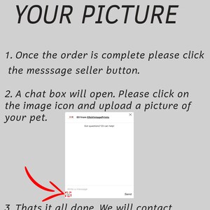May include: A screenshot of a computer screen showing instructions on how to upload a picture of a pet. The instructions say to click the message seller button, then click the image icon in the chat box that opens and upload a picture of your pet. The text "Ell from EllsVintagePrints" is visible in the top left corner of the chat box.