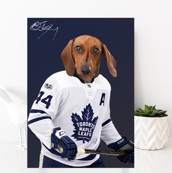 toronto maple leafs dog sweater