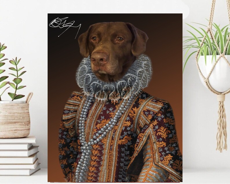 May include: A brown dog wearing a white lace collar and a gold and burgundy patterned robe. The dog is looking directly at the viewer.