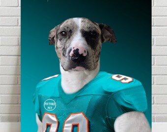 dolphins dog jersey