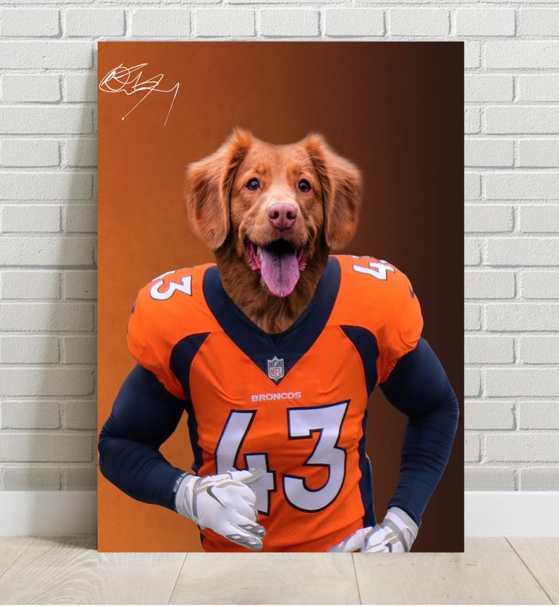 dog broncos jersey