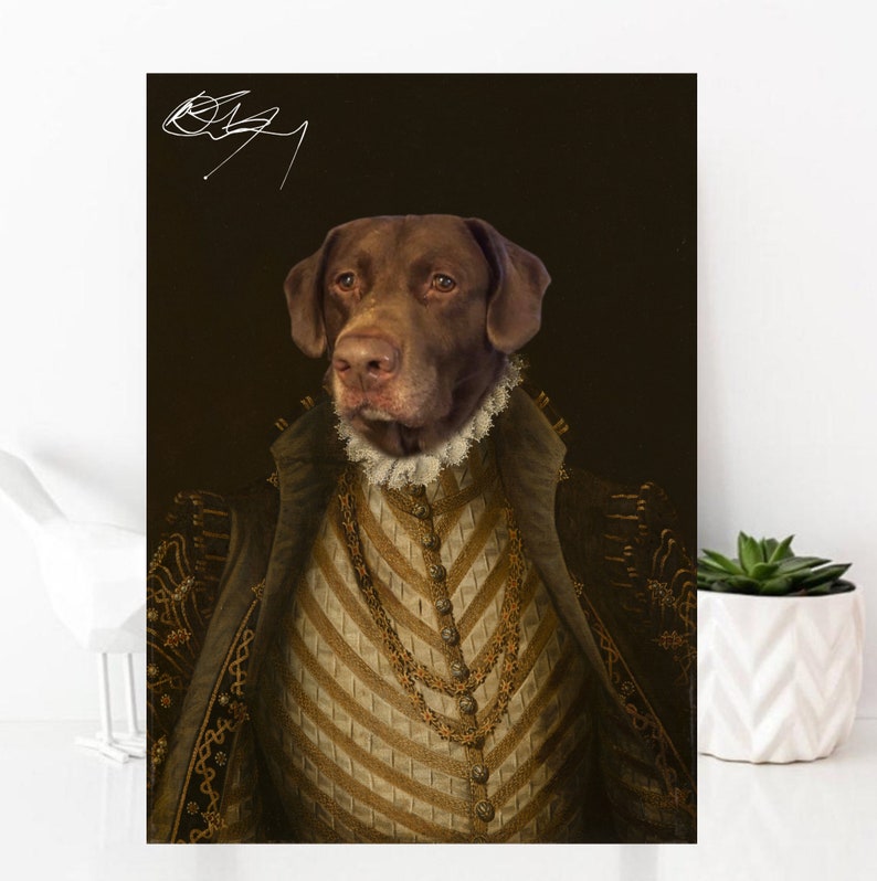 May include: A brown dog wearing a gold and brown patterned vest and a white lace collar. The dog is posed in a portrait style with a dark background.