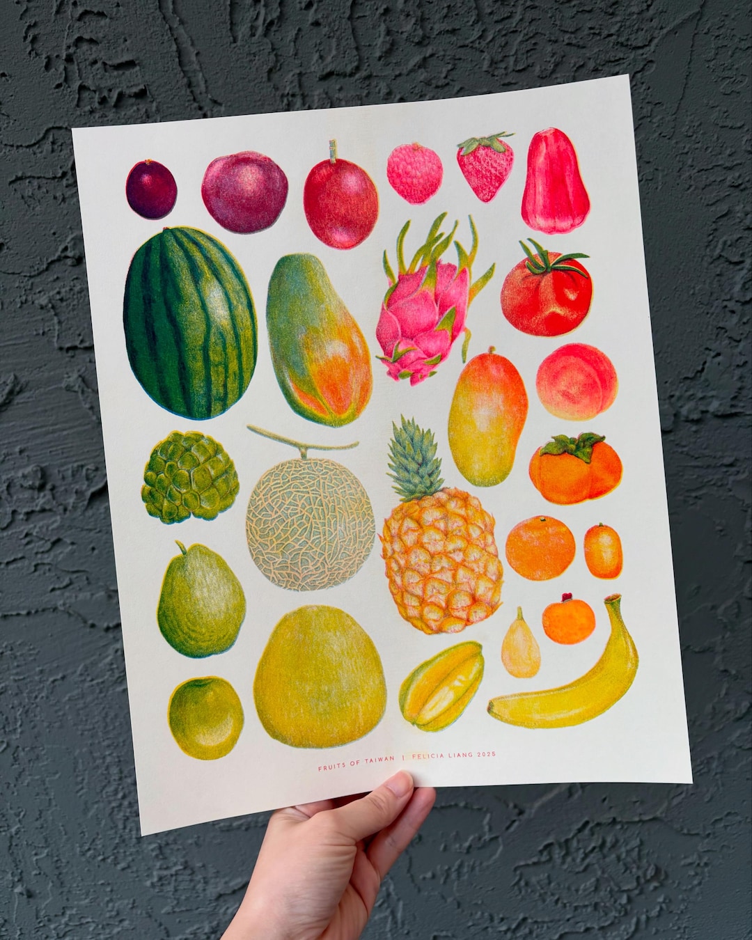 Fruits of Taiwan Risograph Print | Food Illustration | Tropical