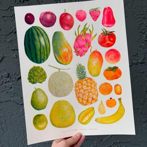 Puede incluir: Una impresión en acuarela con una variedad de frutas coloridas, incluyendo sandía, mango, fruta del dragón y piña. La impresión incluye el texto "Fruits of Taiwan | Felicia Liang 2023".