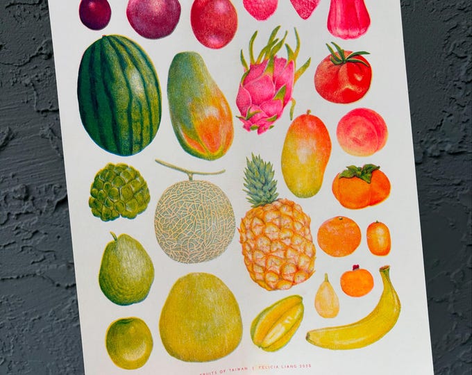 Fruits of Taiwan Risograph Print | Food Illustration | Tropical Fruits | Color Chart