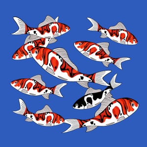 Koi Fish Art Print | Animal Illustration | Pop Art | Digital Art
