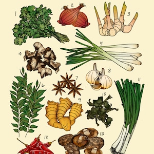 Asian Cooking Aromatics Poster Print | Cooking Illustration | Digital Art