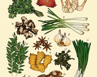 Asian Cooking Aromatics Poster Print | Cooking Illustration | Digital Art