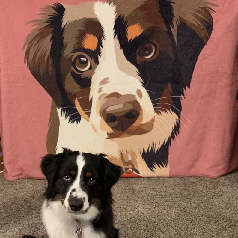 May include: A black and white Australian Shepherd dog with brown eyes is sitting in front of a pink blanket with a cartoon illustration of a dog on it. The cartoon dog has brown, black, and white fur.