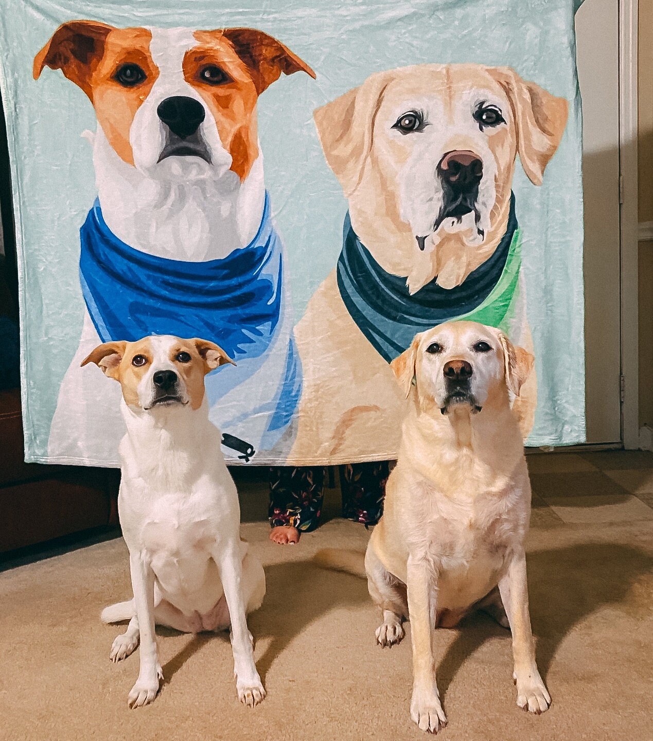 Custom Pet Portrait Blanket, Dog Custom Blanket, Christmas Gift, Pet …