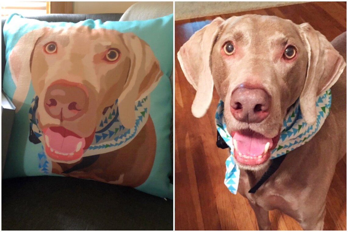 Personalized Dog Pillow Custom Dog Pillow Custom Pet Pillow Etsy