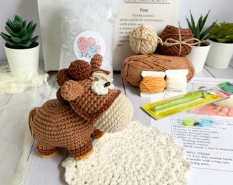 DIY Crochet Kit Amigurumi Little Pony Toy, Beginner-Friendly Craft Kit