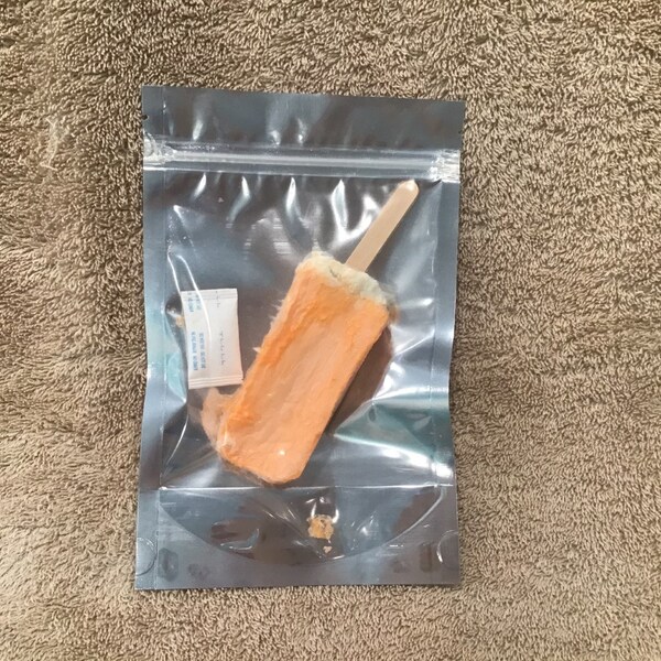 Freeze Dried Creamsicle on a stick
