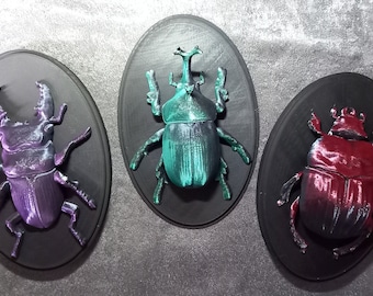 Beetle Wall Hanging or Table Ornament