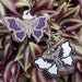 see more listings in the KEYCHAINS & CHARMS section
