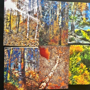 Die Natur des Herbstes - Kartenset - 6 individuelle Karten, die auf Bestellung gedruckt werden und diese glorreiche Jahreszeit präsentieren