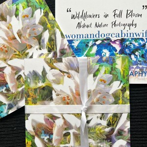 Wildflowers in Full Bloom - Card Set