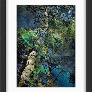 Blue Aspen High I: Original