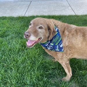 Dog Bandana
