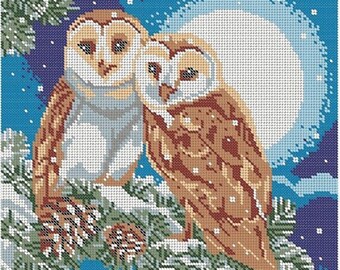 Pärlbroderikit OWL-koppling med sinnet Handpärlbroderikit - Tryckt broderikit, Modernt pärlbroderikit komplett