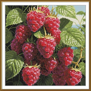 May include: A cross-stitch image of ripe red raspberries on a vine with green leaves. The berries are clustered together, showcasing their textured surfaces and vibrant colour. The leaves have detailed shading, adding depth to the image.