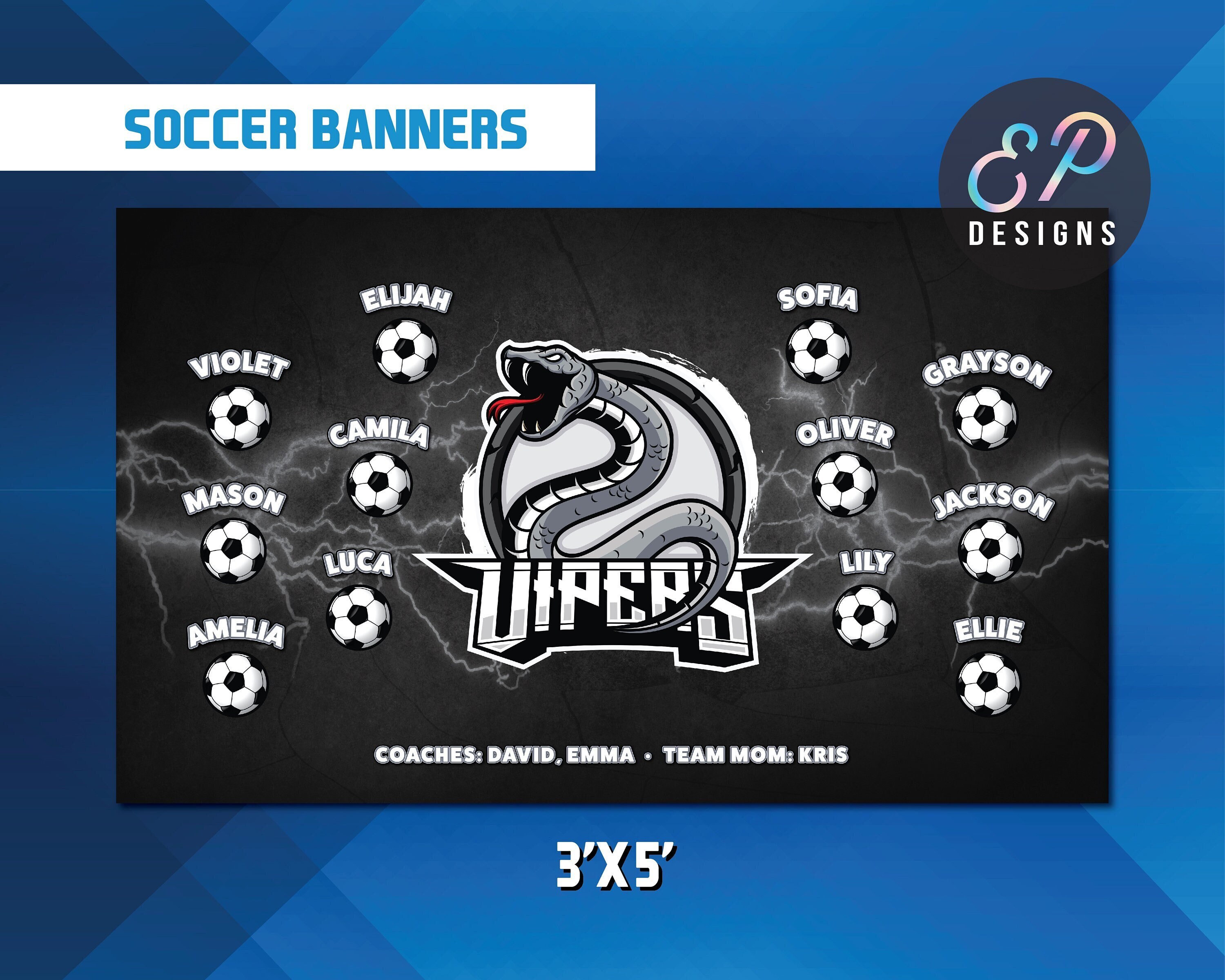 SOCCER SPORTS BANNER, 13oz Vinyl outdoor banner. Vipers. Custom banner.