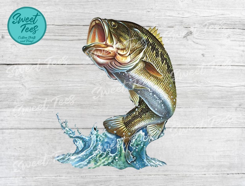 Download Bass Jumping out of Water Bass Waterslide Image Bass Fish ...