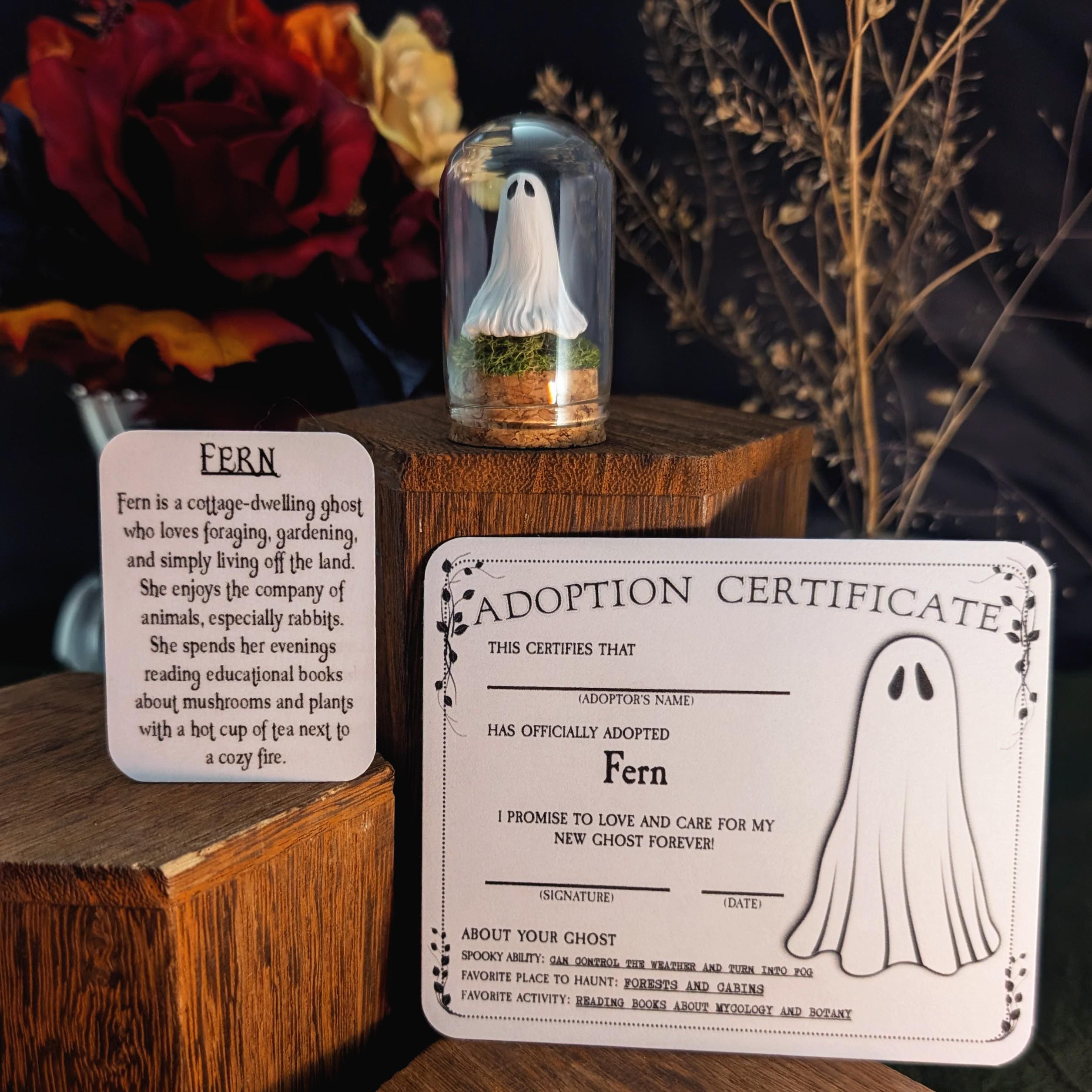 Adopt a Ghost Collectible with Bio Card and Adoption Certificate | Handmade Polymer Clay Ghost Adoption Kit | Spooky Gift | Ghost In Jar