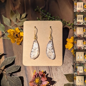 Ethically Sourced Real Moth and Butterfly Wing Earrings | Resin and Hypoallergenic Stainless Steel | Entomology Jewelry Gift