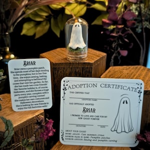 Handgjort spökterrarium i polymerlera | Adoptera ett spöke-kit med biokort, certifikat