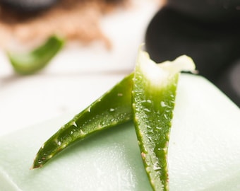 Aloe Vera Soap Bar | Acne Relief | Natural Hair & Skin Care | Hydrating Handmade  | Mond Soap 3 pack