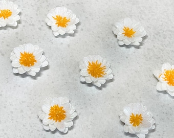 Kawaii Daisy Fridge Magnets: Cartoon Kitchen Decor (8-Pack)