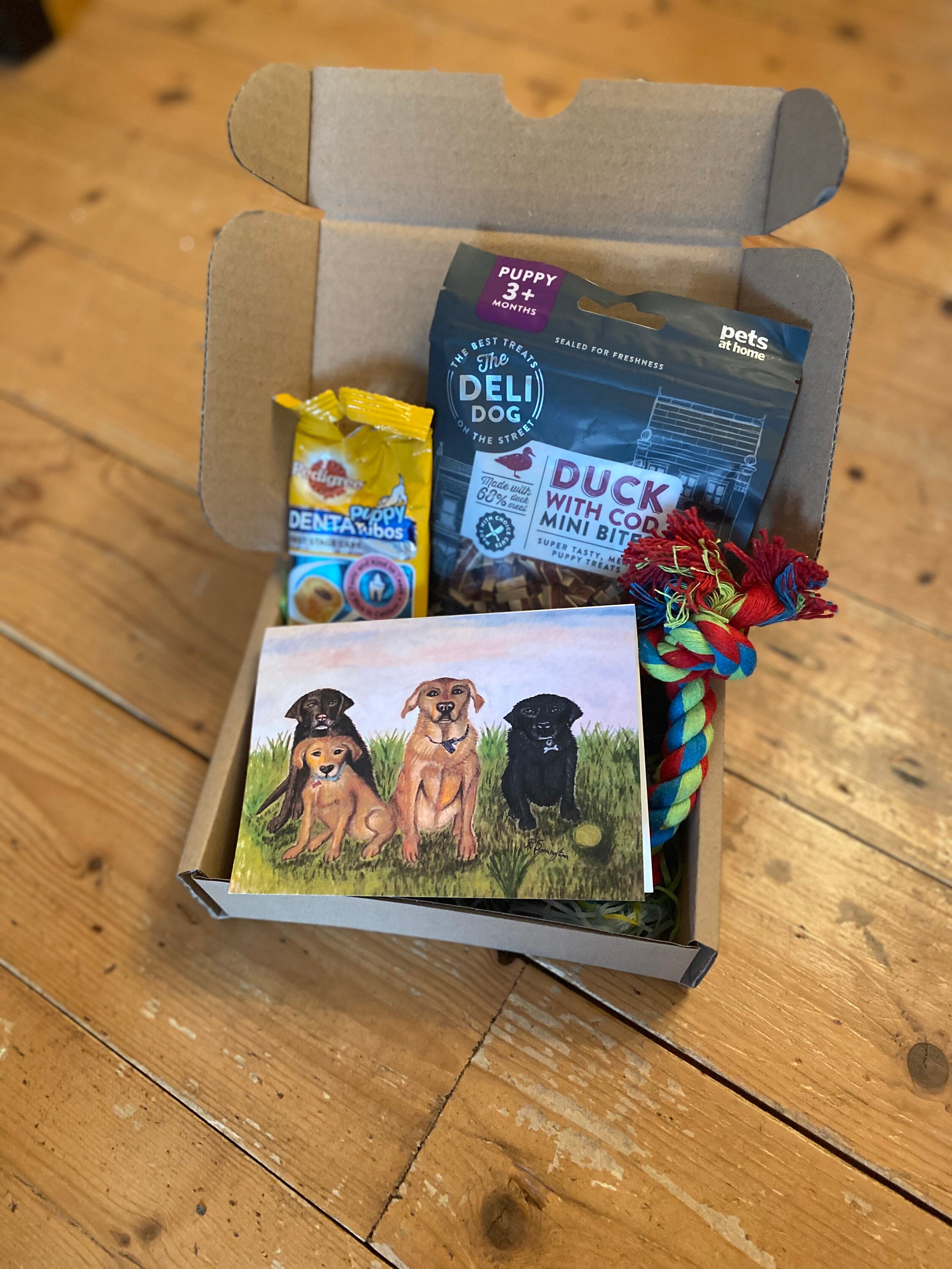 puppy welcome box