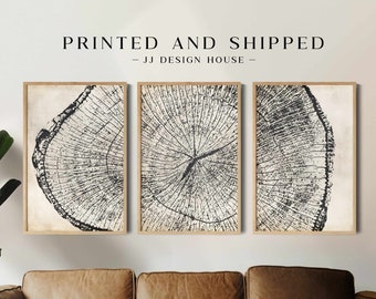 Large Wall Art, Neutral Tree Ring Art Nature Prints, Triptych Wall Art, Printed Wall Art, Tree Ring Wall Art, 3 Piece Wall Art