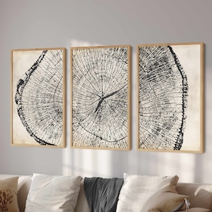 May include: Three framed prints of black and white tree rings on a beige background. The prints are arranged in a row, with the center print showing the full circle of the tree rings.